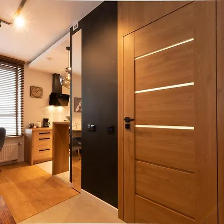 Narutowicza Center Apartment Lodz (Lodz)
